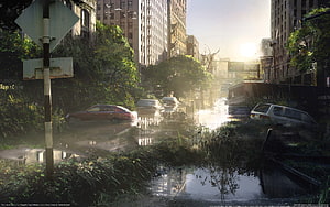 Overgrown Post-Apocalyptic City Street with Abandoned Cars and Sunlight HD wallpaper