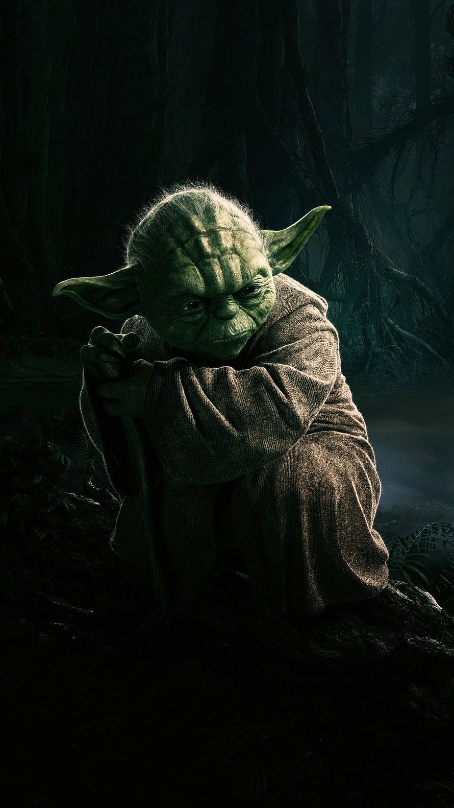 Yoda in a Dark Forest from Star Wars HD phone wallpaper