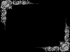 Elegant White Floral Corner Frame on Black Background HD wallpaper