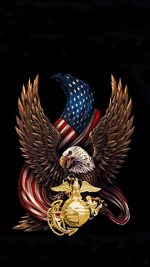 US Marine Corps Eagle Globe and Anchor Emblem with Bald Eagle and American Flag HD phone wallpaper