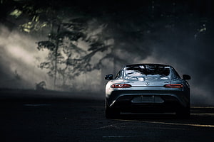 Mercedes-AMG GT S Rear View in Misty Forest Setting HD wallpaper