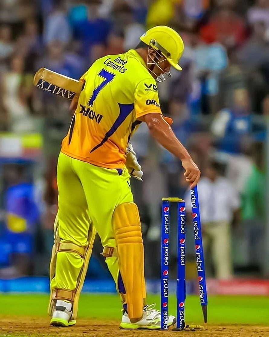 MS Dhoni in Chennai Super Kings yellow kit removing stumps at the crease HD phone wallpaper