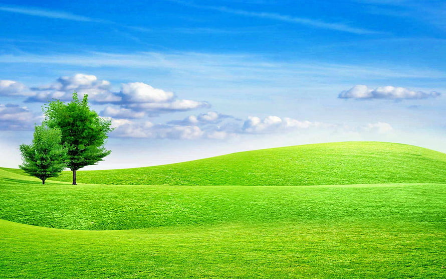 Serene Green Meadow Landscape With Two Trees Under A Bright Blue Sky HD wallpaper