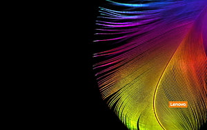 Vibrant Rainbow Feather Macro Photography on Black Background HD wallpaper