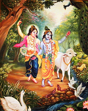 Krishna and Balarama Walking Through a Lush Forest with a White Calf and Birds HD phone wallpaper