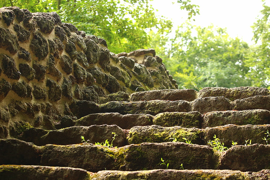 Mossy Stone Steps and Ancient Wall in a Lush Green Forest HD wallpaper