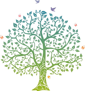 Celtic Tree of Life Ornamental Illustration with Birds and Butterflies HD phone wallpaper