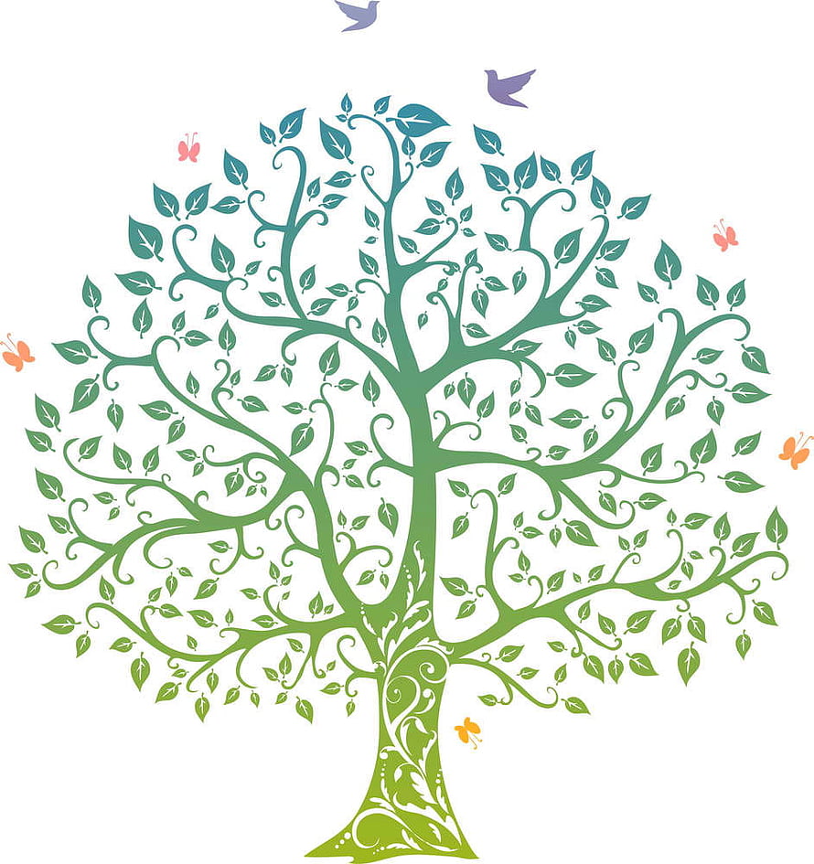 Celtic Tree of Life Ornamental Illustration with Birds and Butterflies HD phone wallpaper