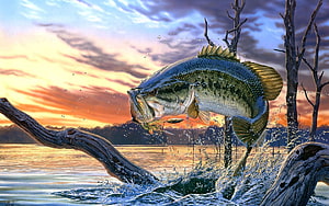 Largemouth Bass Leaping From Lake Water At Sunset With Dead Trees HD wallpaper