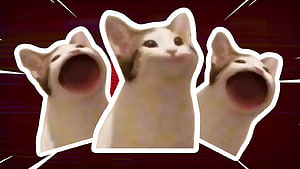 Popcat Meme Cat with Open Mouth on Dark Red Background HD wallpaper