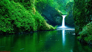 Lush Green Canyon Waterfall Flowing Into a Calm Forest Pool HD wallpaper