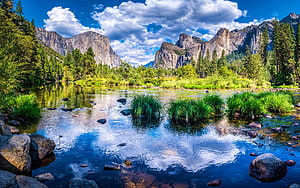 Yosemite National Park Summer Valley with River, Mountains, and Lush Greenery in California HD wallpaper