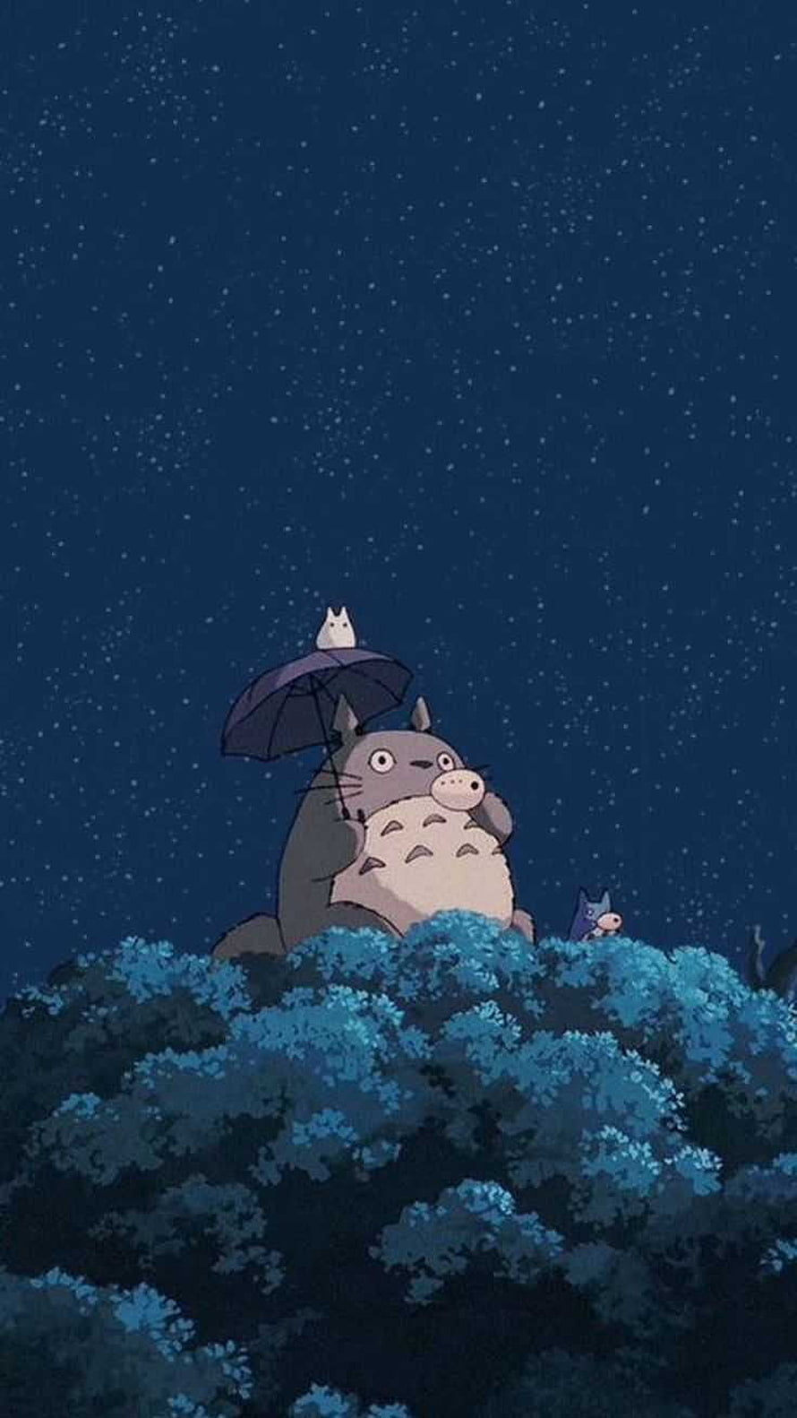 Totoro Holding an Umbrella Under a Starry Night Sky in a Studio Ghibli Scene HD phone wallpaper