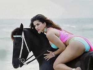 Sunny Leone Riding a Black Horse on the Beach in a Pink and Teal Outfit HD wallpaper