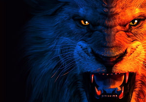 Fierce Roaring Lion Close-Up with Dramatic Blue and Orange Lighting HD wallpaper