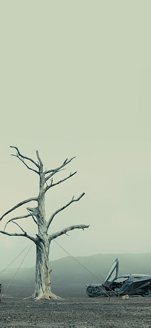 Blade Runner 2049 Wasteland Scene with Dead Tree and Futuristic Vehicle HD phone wallpaper