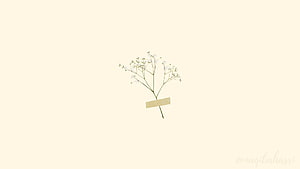 Minimalist Baby's Breath Floral Illustration on Cream Background HD wallpaper