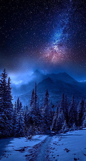 Snowy Pine Forest and Mountain Range Under a Vibrant Milky Way Night Sky HD phone wallpaper
