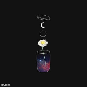 Minimalist daisy in a galaxy-filled glass with floating celestial elements on a black background HD phone wallpaper