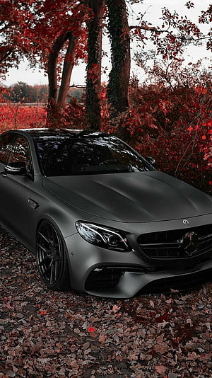 Matte Black Mercedes-AMG C63 Coupe Parked in Autumn Forest HD phone wallpaper