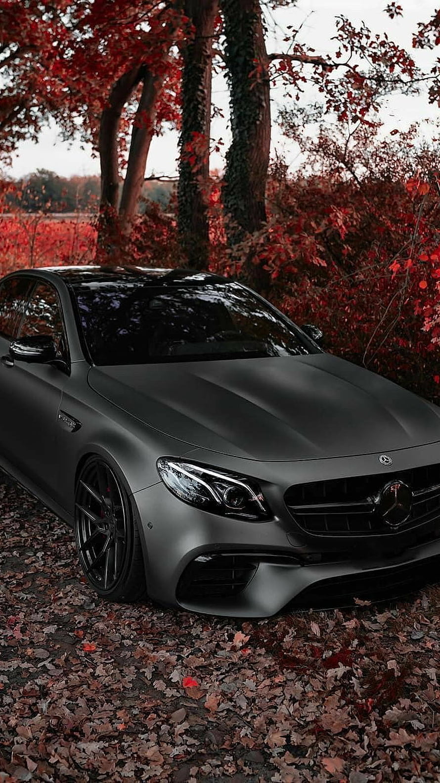 Matte Black Mercedes-AMG C63 Coupe Parked in Autumn Forest HD phone wallpaper