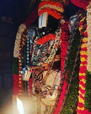 Lord Venkateswara adorned with vibrant flower garlands and traditional temple jewelry HD phone wallpaper