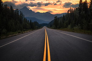 Empty Highway Stretching Through Jasper National Park at Golden Hour HD wallpaper
