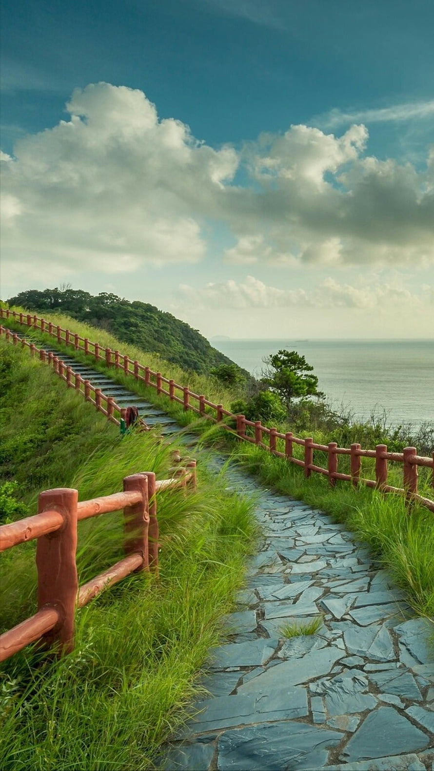 Coastal Stone Pathway With Wooden Railings Leading to Ocean View HD phone wallpaper