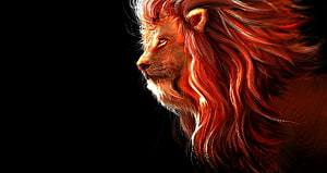 Majestic Lion Profile with Fiery Red Mane Against Black Background HD wallpaper