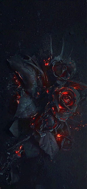 Gothic Black Roses with Glowing Red Embers on Dark Background HD phone wallpaper