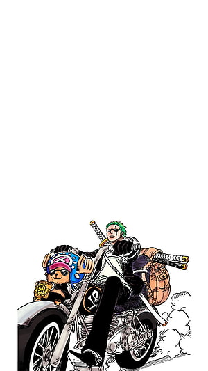 Roronoa Zoro and Tony Tony Chopper Riding a Motorcycle in One Piece Manga Art HD phone wallpaper