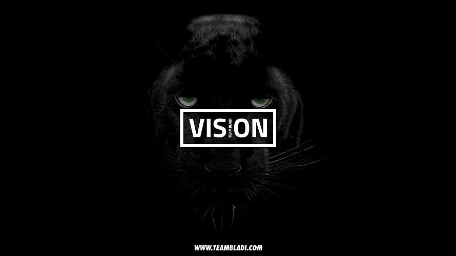 Dark Panther Eyes in Shadow with Vision Text Overlay HD wallpaper