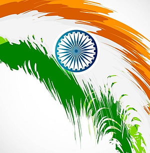 Stylized Indian National Flag with Ashoka Chakra and Tropical Palm Leaves HD phone wallpaper