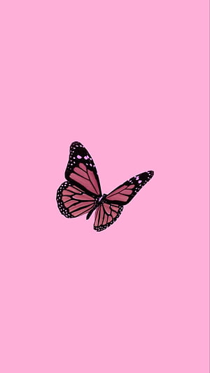 Minimalist Pink Butterfly on Soft Pastel Background HD phone wallpaper
