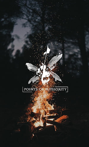 Linkin Park Hybrid Theory Album Artwork with Burning Campfire and Dragonfly HD phone wallpaper