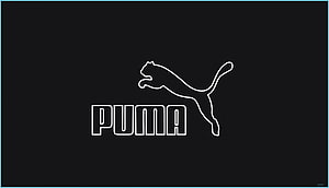 Puma Brand Logo Minimalist Outline Design on Black Background HD wallpaper