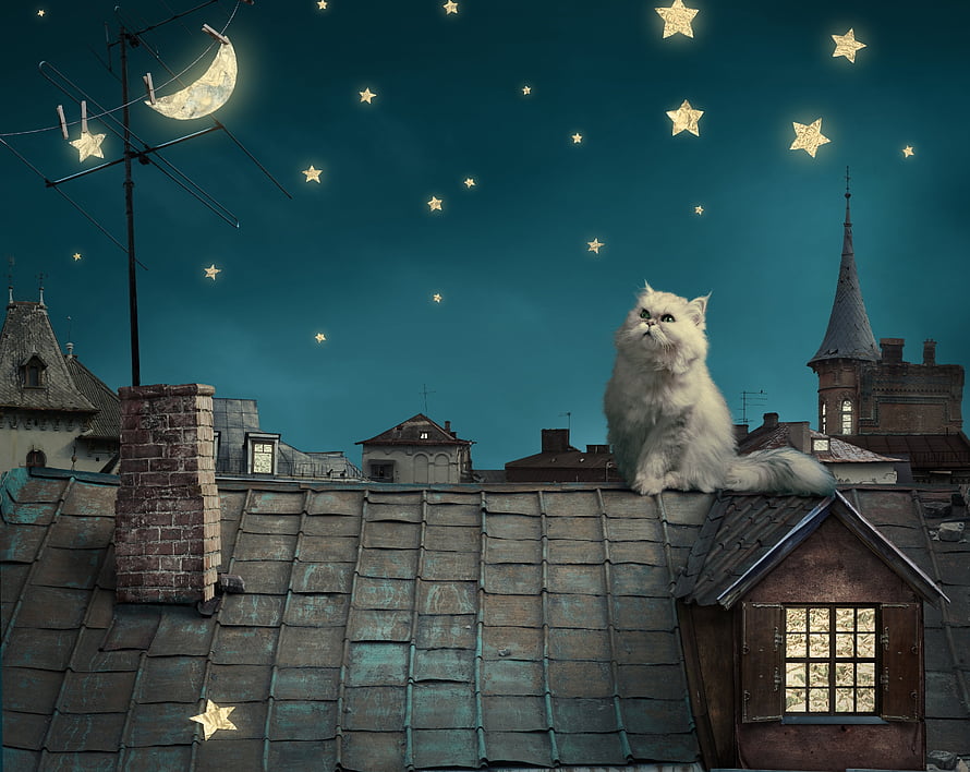 Fluffy White Persian Cat Sitting on a Rooftop Under a Starry Night Sky with a Crescent Moon HD wallpaper