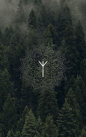Mystical Protection Rune Overlay on Misty Evergreen Forest Canopy HD phone wallpaper