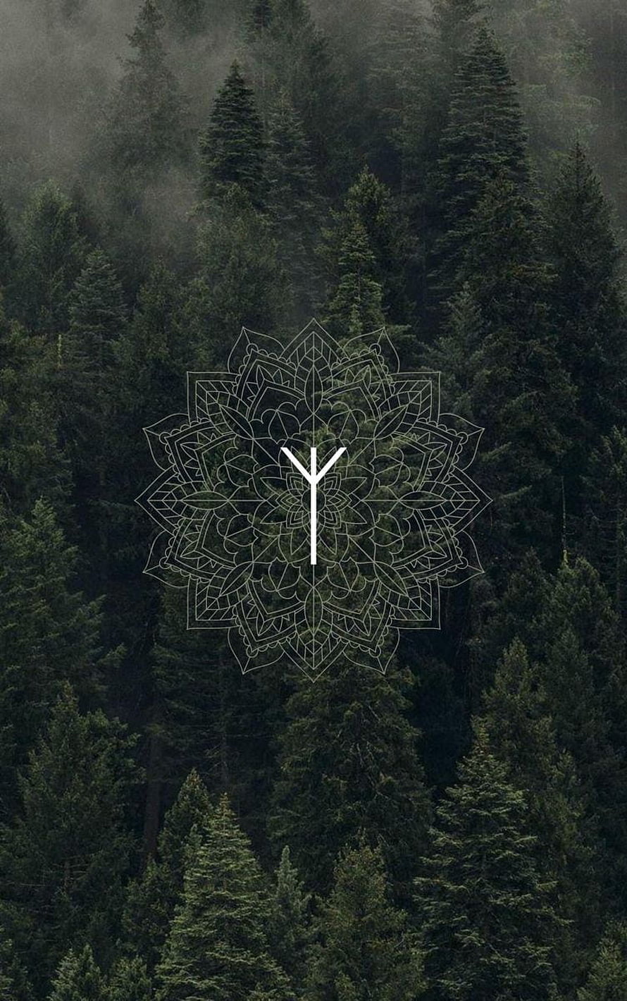 Mystical Protection Rune Overlay on Misty Evergreen Forest Canopy HD phone wallpaper
