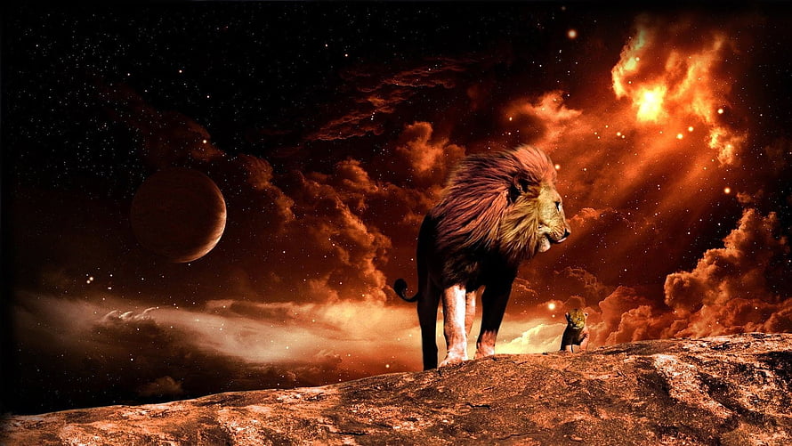 Majestic Lion and Cub on Rocky Outcrop Under Dramatic Fiery Sky HD wallpaper