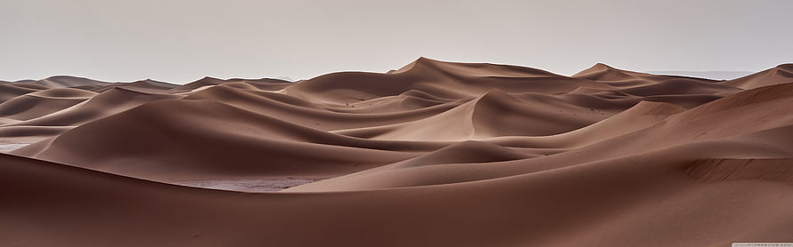 Sweeping Sand Dunes in a Vast Desert Landscape Under a Soft Hazy Sky HD wallpaper