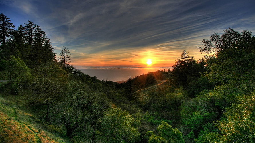 Golden sunset over a lush coastal forest with rolling hills and a dramatic sky HD wallpaper