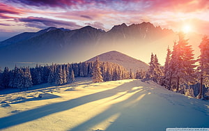 Snowy Mountain Landscape at Sunrise with Pine Forest and Golden Light HD wallpaper