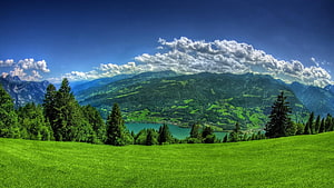 Vibrant Alpine Meadow with Distant Lake and Forested Mountains Under a Blue Sky HD wallpaper