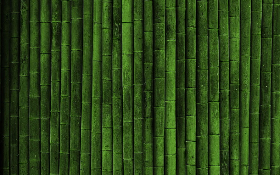 Vertical Green Bamboo Stalks Texture Pattern for Calming Natural Backgrounds HD wallpaper