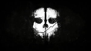 Call Of Duty Grunge Skull Logo Wallpaper HD wallpaper