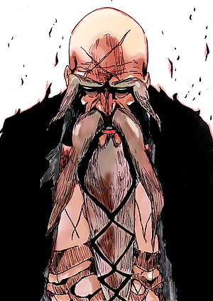 Genryusai Shigekuni Yamamoto from Bleach in Intense Manga Style HD phone wallpaper
