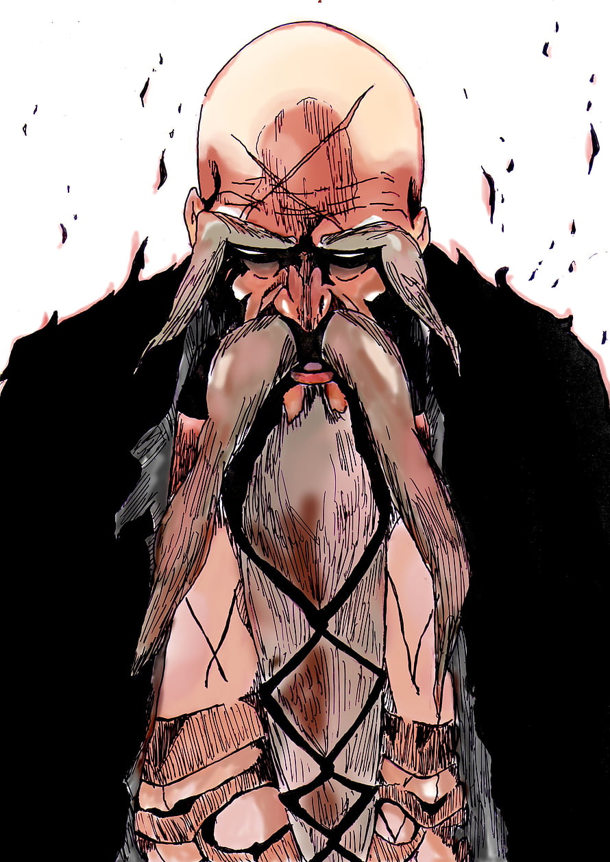 Genryusai Shigekuni Yamamoto from Bleach in Intense Manga Style HD phone wallpaper