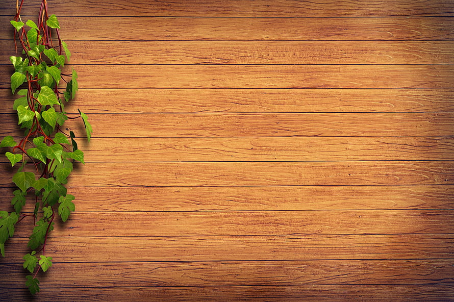 Rustic Wooden Plank Background with Green Ivy Vines on the Left Side HD wallpaper