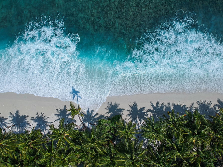 Aerial View of Tropical Beach with Palm Trees and Turquoise Ocean Waves HD wallpaper